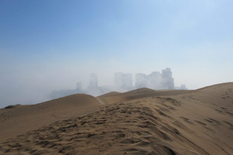Leuchtend rote Ahornblätter vor einem blauen Himmel mit Sonnenlicht.