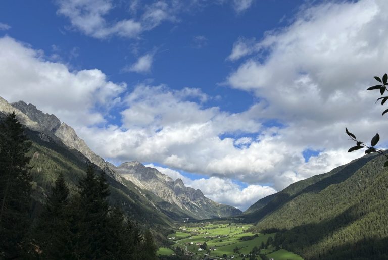 Leuchtend rote Ahornblätter vor einem blauen Himmel mit Sonnenlicht.